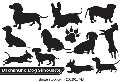 Collection of animal Dachshund Dog in different positions