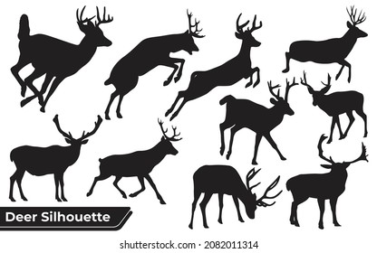 Collection of animal Deer in different positions