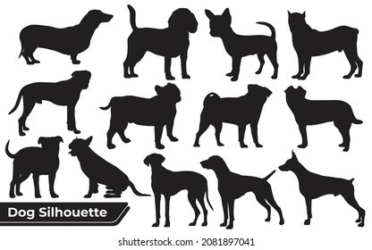 Collection of animal Dog in different positions