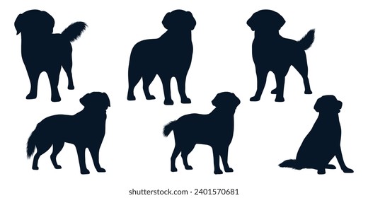 Collection of animal Dog in different positions