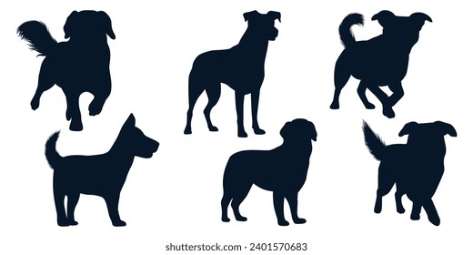 Collection of animal Dog in different positions