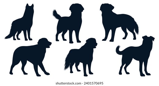 Collection of animal Dog in different positions