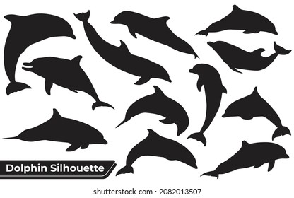 Collection of animal Dolphin in different positions