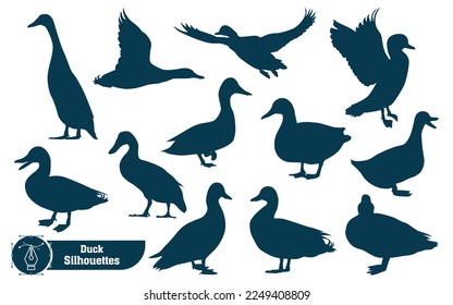 Collection of Animal duck silhouette in different poses