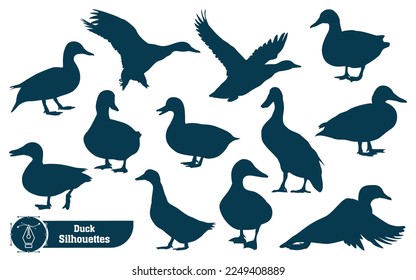 Collection of Animal duck silhouette in different poses