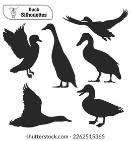 Collection of Animal duck silhouette in different poses