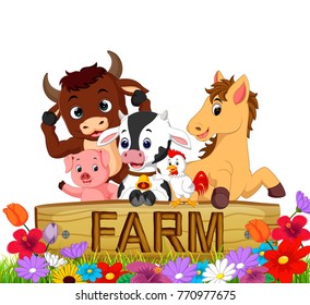 Collection animal in the farm