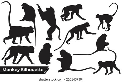 Collection of Animal Monkey Silhouettes vector