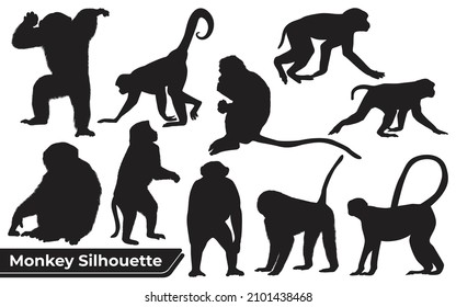 Collection of Animal Monkey Silhouettes vector