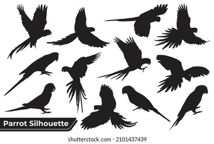 Collection of Animal Parrot Silhouettes vector