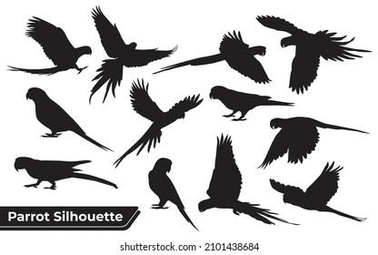 Collection of Animal Parrot Silhouettes vector