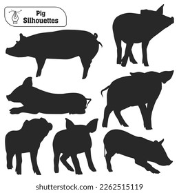 Collection of Animal Pig silhouette in different poses