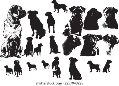 Collection of animal pug dog in different vector image. Get a start on these super cute pug makes with our cute pugs vectors.