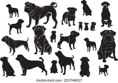 Collection of animal pug dog in different vector image. Get a start on these super cute pug makes with our cute pugs vectors.