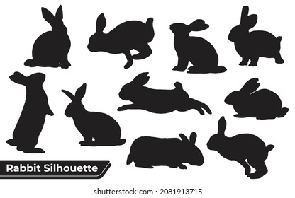 Collection of animal Rabbit in different positions