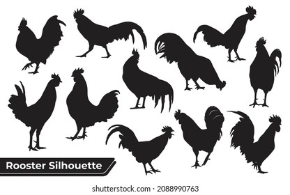 Collection of animal Rooster Silhouette in different poses