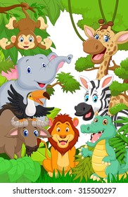 Collection animal safari in the jungle 