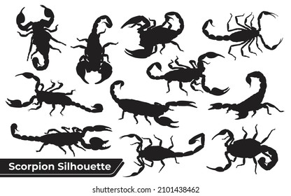 Collection of Animal Scorpion Silhouette vector