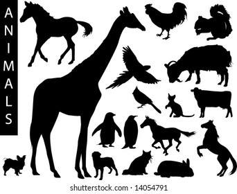 A collection of Animal silhouettes