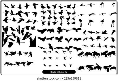 Collection of animal silhouettes on a white background
