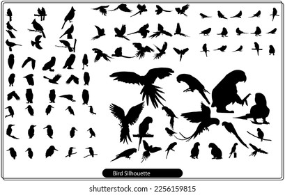 Collection of animal silhouettes on a white background