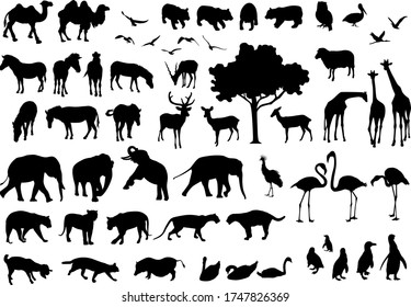 Collection of animal silhouettes. Vector illustration isolated  on white background. Wild animals.