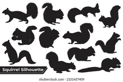 Collection Of Animal Squirrel Silhouette Vector