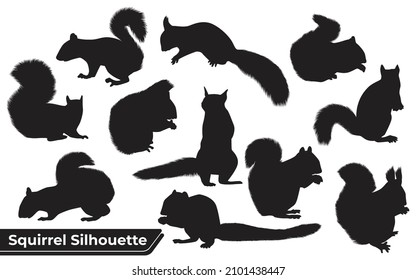 Collection Of Animal Squirrel Silhouette Vector