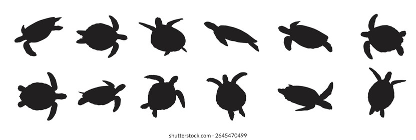Collection of animal Turtle Silhouette in different poses