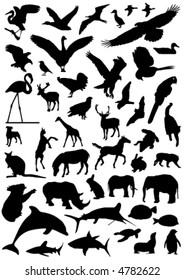 collection of animal vector 2