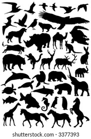 Collection of animal vector silhouettes