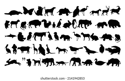 
A collection of animal vectors for logos, icons, t-shirts and children's learning.