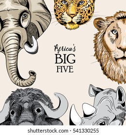 Collection of animals from Africa's big five. Vector illustration on light light brown background