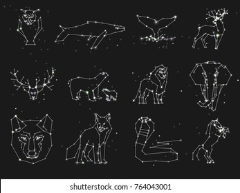 Collection of animals constellation on dark sky. Wild animals with line and stars, horoscope style. Constellation animals for cards, elephant, owl, wolf and other animal