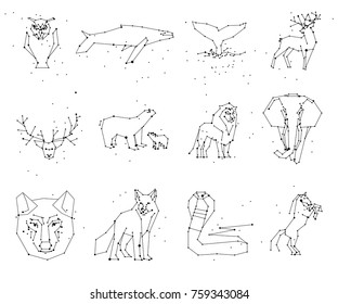 Collection of animals constellation on white background. Wild animals with line and stars, horoscope style. Constellation animals for cards, elephant, owl, wolf and other animal