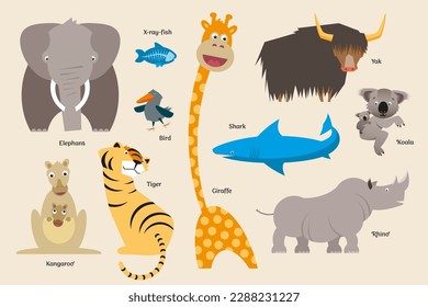 Collection of animals vector illustrations, set, elephant, giraffe, tiger, yak, koala, rhino, kangaroo, shark, fish, bird
