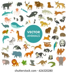 Collection of Animals of the World. Vector Illustration of Simple Cartoon Animal Icons.