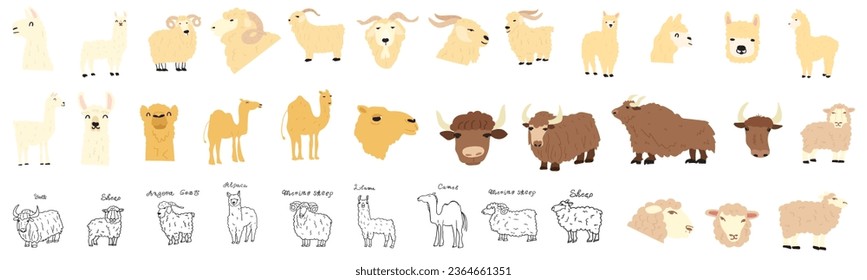 Collection of animals. Yak, camel, sheep, llama, goat, alpaca. Flat and outline design. Exotic animals. Hand drawn illustrations on white background.