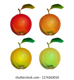 Collection of apples with leaf: red, green and yellow. Vector illustration isolated on white background