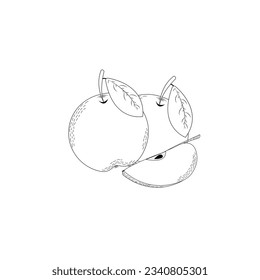 collection of apples,illustration apple,apples with leaf,vector illustration eps10