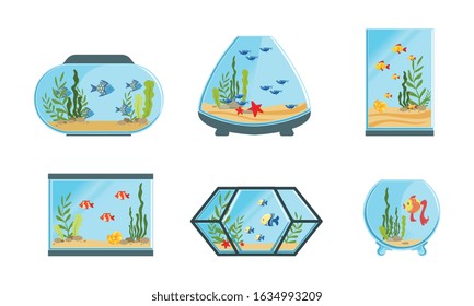 Collection of Aquarium Tanks of Different Shapes with Cute Fishes and Seaweeds Vector Illustration