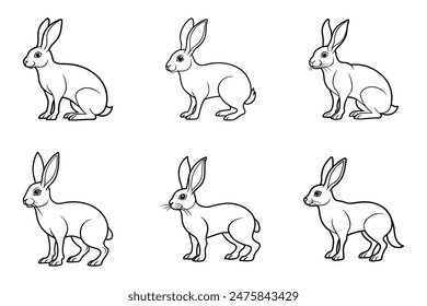 Collection of Arabian Hare Line Art