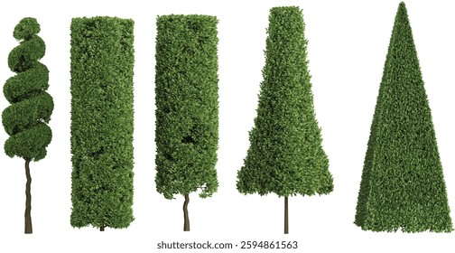Collection of arborvitae plants on transparent background