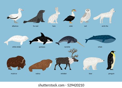 Collection Of Arctic Animals