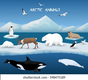 Collection of arctic animals in a background of arctic scenery
