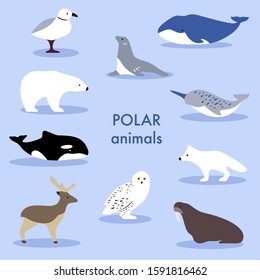 Collection of arctic animals and marine mammals. Set of cute cartoon isolated characters and icons. Whale, narwhal, polar bear, north deer. Vector illustration in flat style.