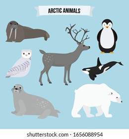 Collection of Arctic Animals vector