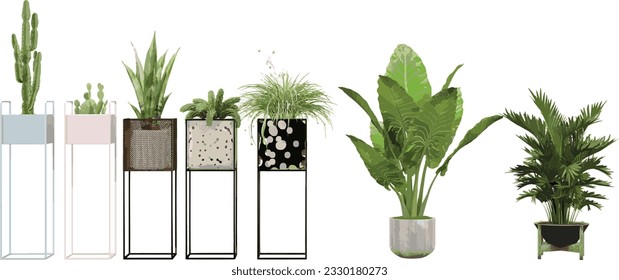 Collection of Areca palm,New Guinea Shield,Chlorophytum comosum,Dracaena trifasciata,Cereus jamacaru,Nopal,Fern on isolated transparent background