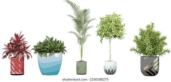 Collection of Areca palm,Weeping fig,Song of India,Ti,Fern on isolated transparent background
