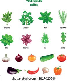 Sammlung aromatischer Kräuter und Gemüse, Vektorgrafik